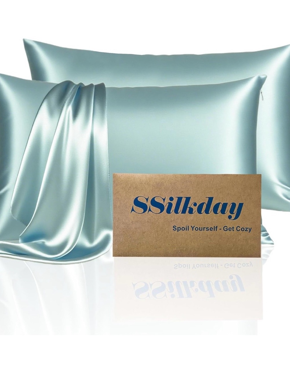 2 - SSilkday mulberry silk pillow cases / haze blue